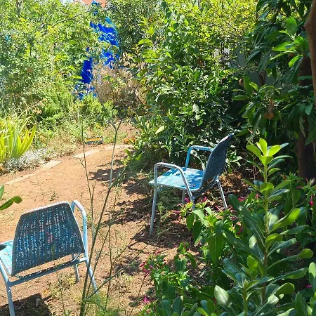 Studio Garden דירה דוברובניק